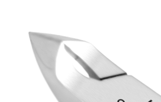 EICLS head